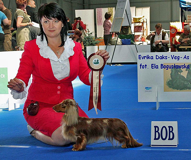 Evrika Bob ok z podpisem 800x600