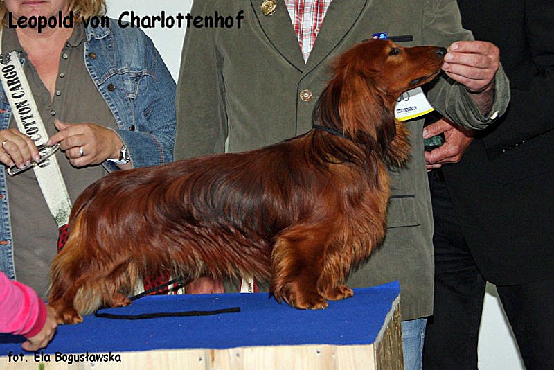 Leopold von Charlottenhof 4 p z podpisem 800x600