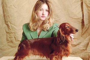 jamnik dlugowłosy króliczy