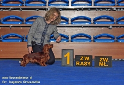 Wystawa w Rzeszowie