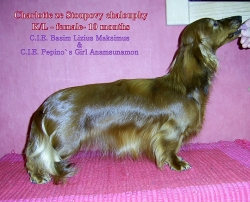Sukcesy Charlotte, c&oacute;rki Basima