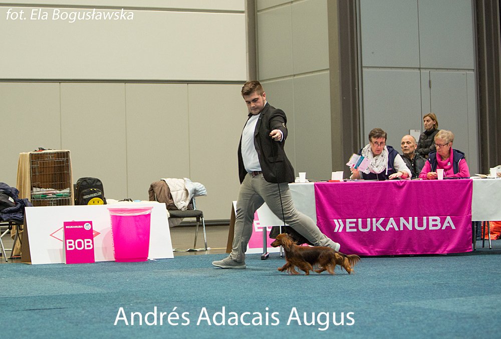 Andrés Adacais Augus w ruchu 2 pm