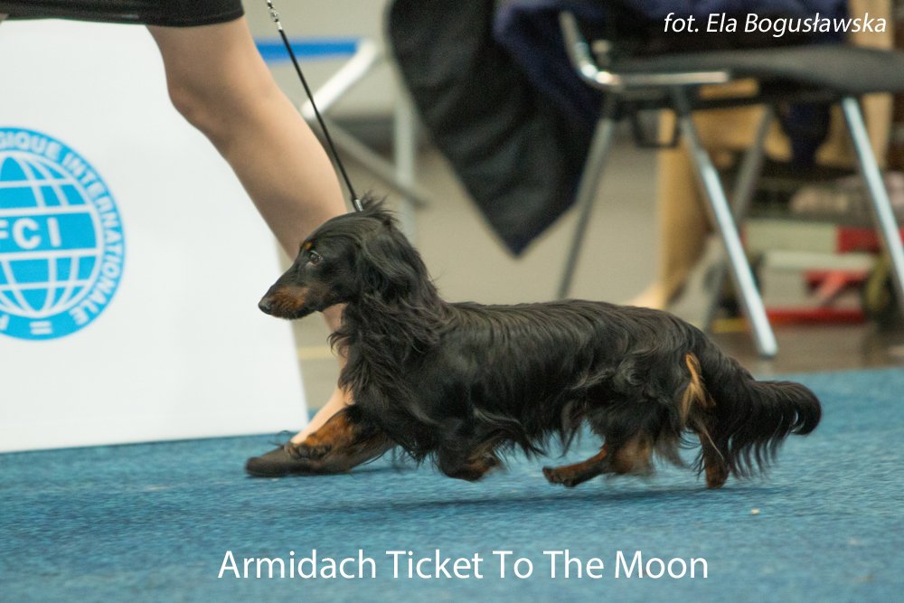 Armidach Ticket To The Moon klasa championow bdb