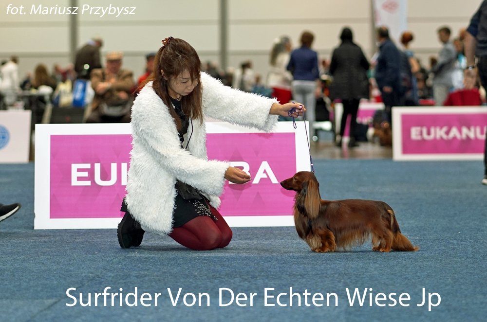 Surfrider Von Der Echten Wiese Jp 3 pm