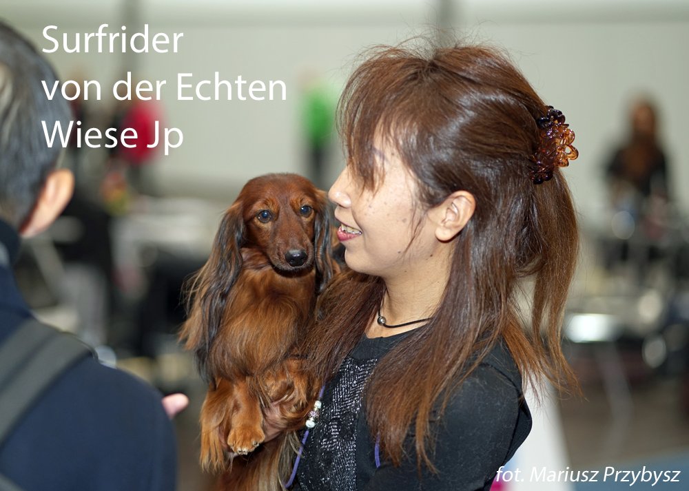 Surfrider Von Der Echten Wiese Jp 6 pm