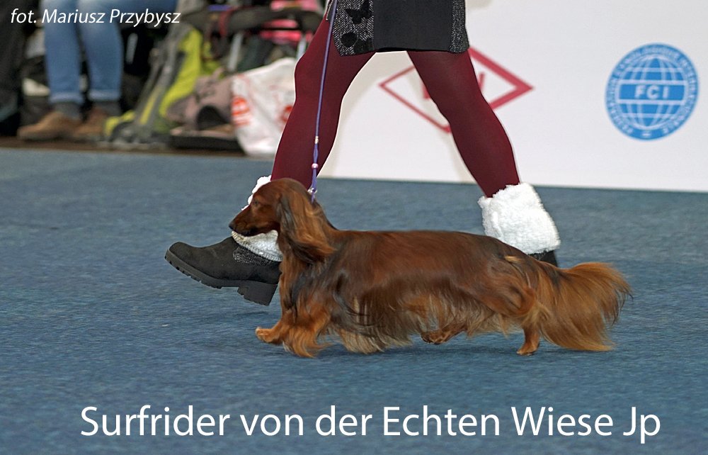 Surfrider Von Der Echten Wiese Jp pm