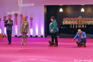 Damai zadebiutowała na Słowacji