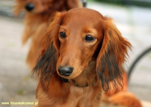 Basim jako młodzieniec