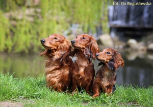 Spotkanie Basima z trzema c&oacute;rkami