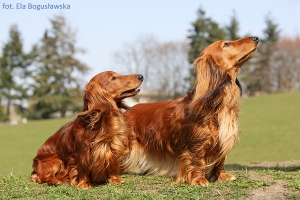 Wiosenny spacer z Nitką