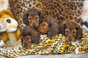 Odwiedziny u maluch&oacute;w Basima w Łodzi