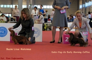 Węgierska świat&oacute;wka