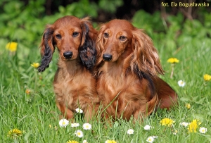Rodzinne spotkanie w Warszawie
