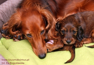 To już prawie miesiąc!