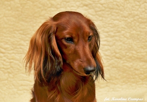 Nowe zdjęcia Szamana