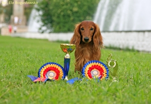 Wystawy w Rumunii i na Węgrzech