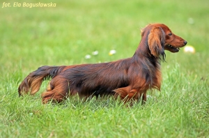 Spacer z Szamanem i Imanem