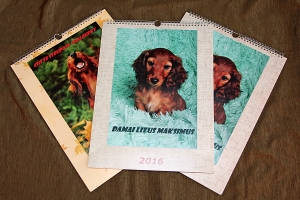 Damai na każdy dzień nowego roku