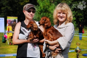 Wystawa klubowa w Mosznie