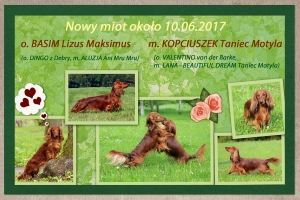 Basim wkr&oacute;tce zostanie tatą w Warszawie