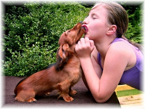 Pozdrowienia z Niemiec