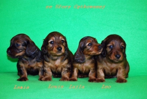 To już prawie miesiąc!