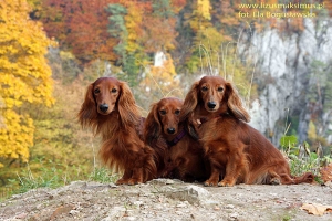 Wśr&oacute;d skałek i zamk&oacute;w