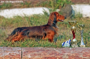 Debiut Imana w klasie junior&oacute;w i rodzinne spotkanie w Warszawie