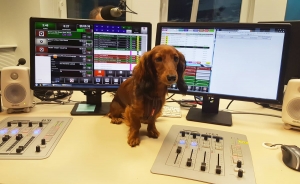 C&oacute;reczka Basima Dobrawa jako didżejka