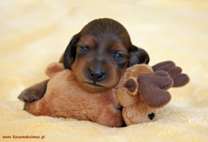 Dzieci Aluzji mają już imiona