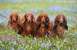 Rodzinne spotkanie w Łodzi