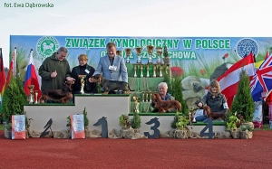 Wystawa w Częstochowie