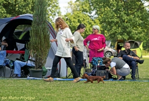 El-Maraya debiutuje w Piotrkowie Trybunalskim