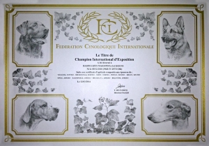 Basim wyr&oacute;żniony!