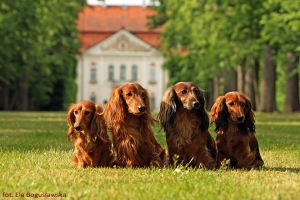 P&oacute;źna wiosna przed pałacem w Nieborowie