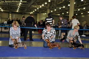 C&oacute;rka Basima podw&oacute;jną Championką Eurasii