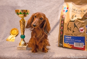 El-Maraya rozpoczęła młodzieżowy championat w Pruszkowie