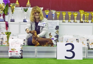 Sukcesy na wystawie w Kielcach