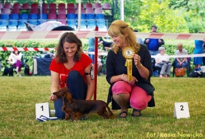 Lamia na wystawie w Warszawie