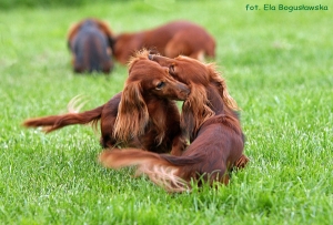 Wizyta u przyjaci&oacute;ł w Ruścu