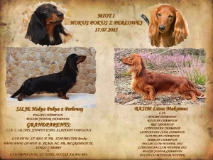 Narodziny dzieci Basima i Silje