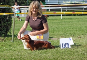 Basim interchampionem