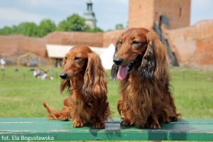 Spotkanie z Szamanem w Czersku