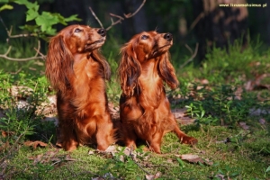 Przyjaźń mamy i c&oacute;rki