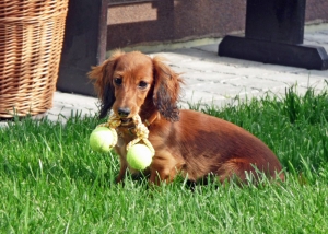 Pozdrowienia od Basanti