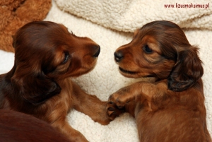 Nowe zdjęcia Basanti i Basima