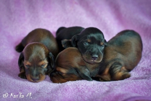 Basim podw&oacute;jnie dziadkiem