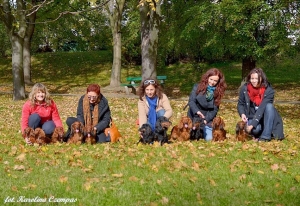 Jesień w Skaryszewskim