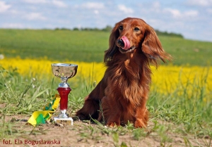 Wyprawa z Shergolem do Moletai