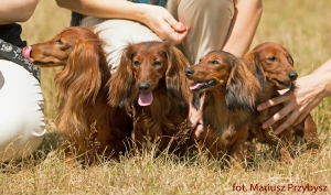 Wystawa międzynarodowa w Warszawie